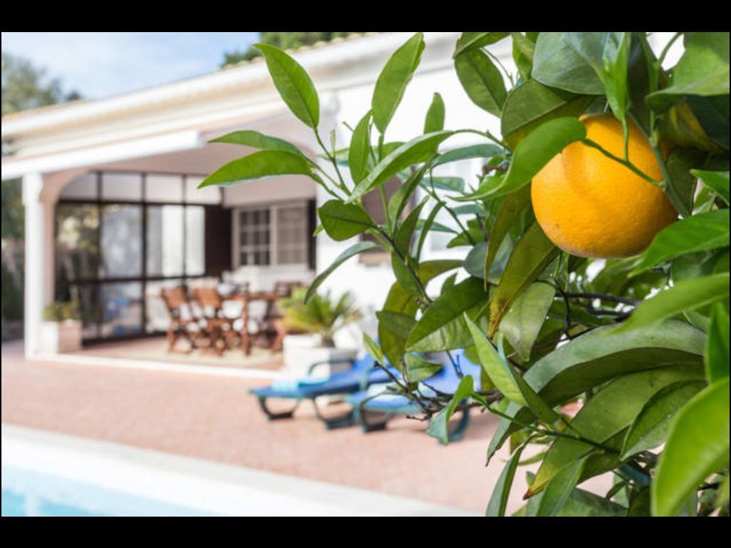 Villa Vilamar ปอร์เชส ภายนอก รูปภาพ